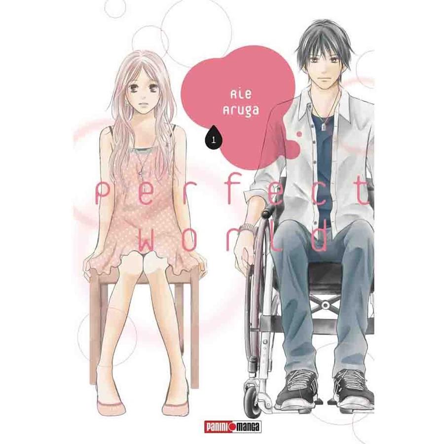 PERFECT WORLD (SERIE)